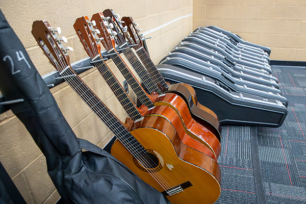 A line of guitars and cases